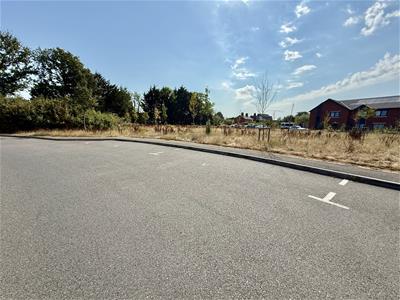 Picture 21